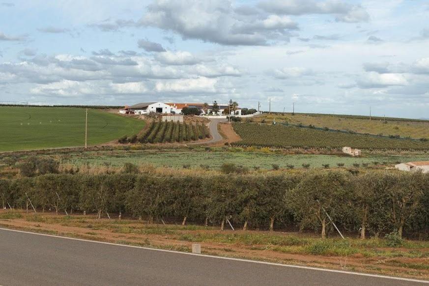 מלון בז'ה Quinta Do Castelo מראה חיצוני תמונה